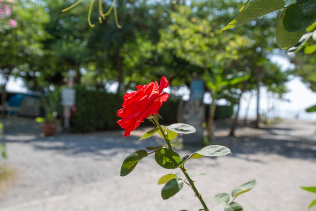 Camping La Focetta Sicula SantʼAlessio Siculo Esterno foto