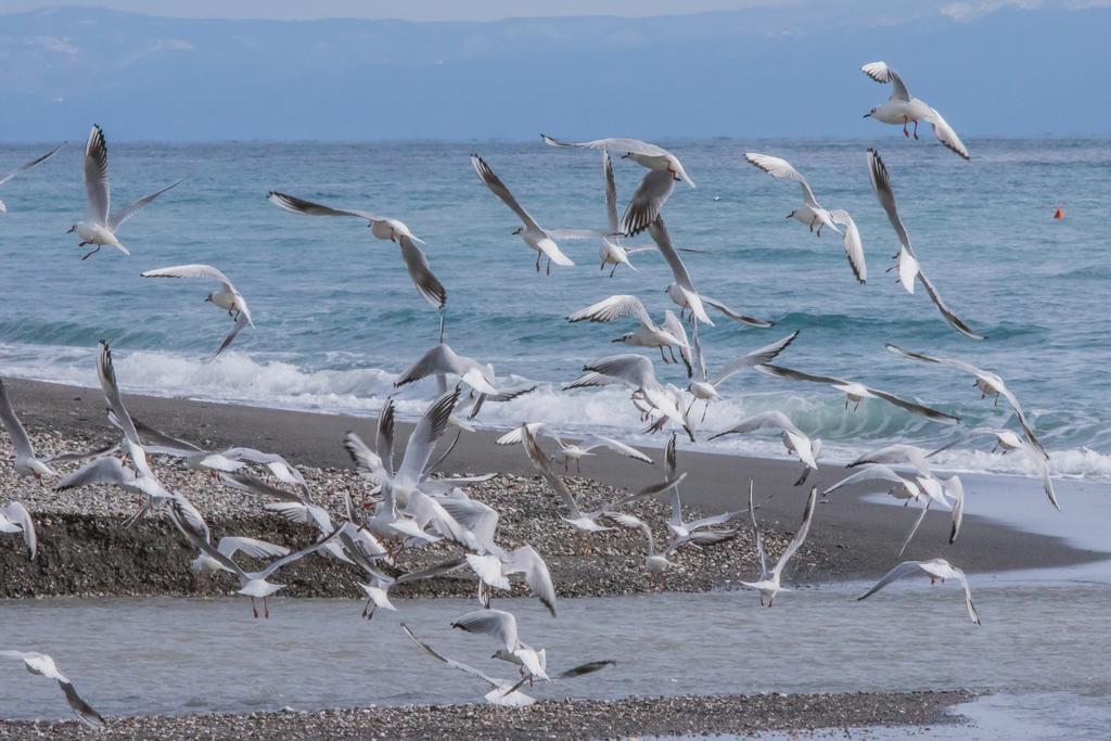Camping La Focetta Sicula SantʼAlessio Siculo Esterno foto